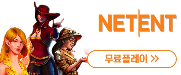 넷엔트